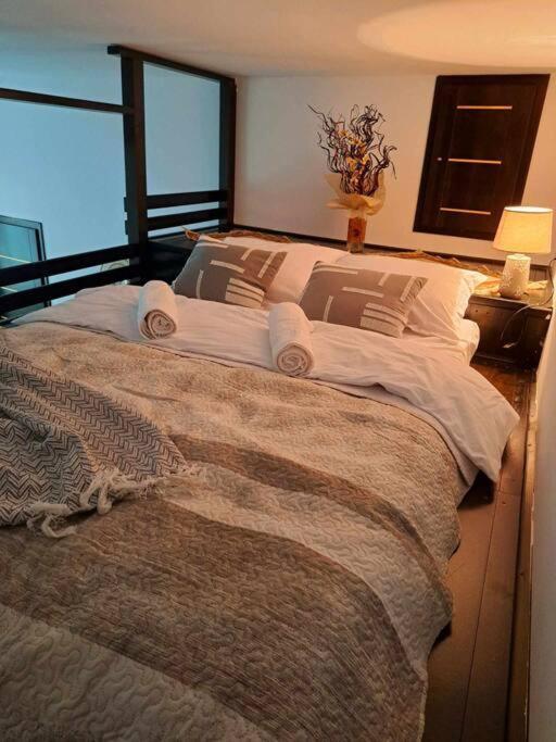 Sofia'S Home Comfy Studio In The Old Town Braşov Exteriör bild