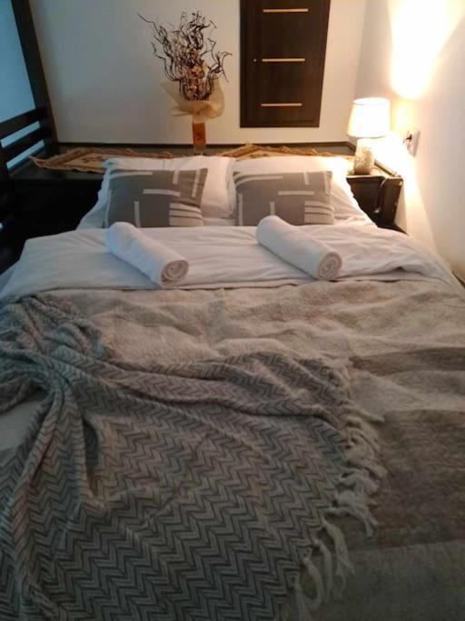 Sofia'S Home Comfy Studio In The Old Town Braşov Exteriör bild