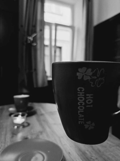 Sofia'S Home Comfy Studio In The Old Town Braşov Exteriör bild