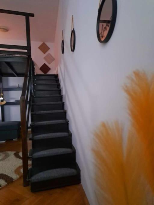 Sofia'S Home Comfy Studio In The Old Town Braşov Exteriör bild