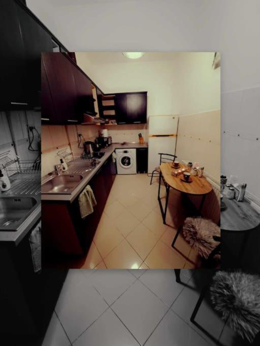 Sofia'S Home Comfy Studio In The Old Town Braşov Exteriör bild